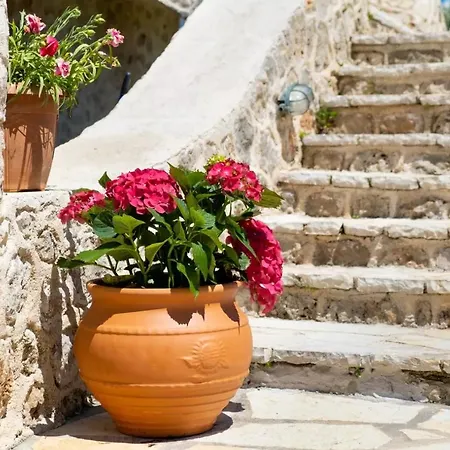 Gkountis Appartamento Tsoukaládhes